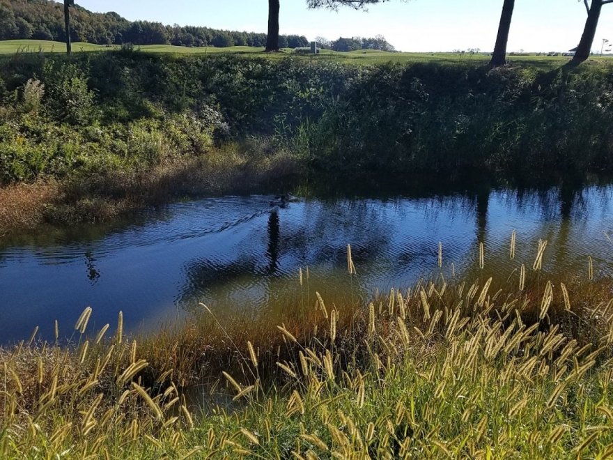 Rum Pointe Seaside Golf Links