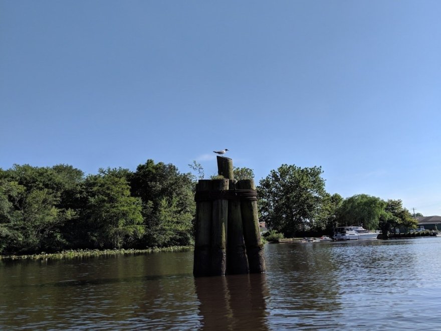 Pocomoke River Canoe Company