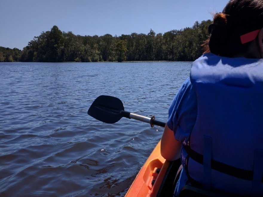 Pocomoke River Canoe Company